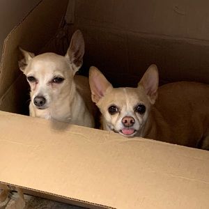 Meet your Posher, Kenna